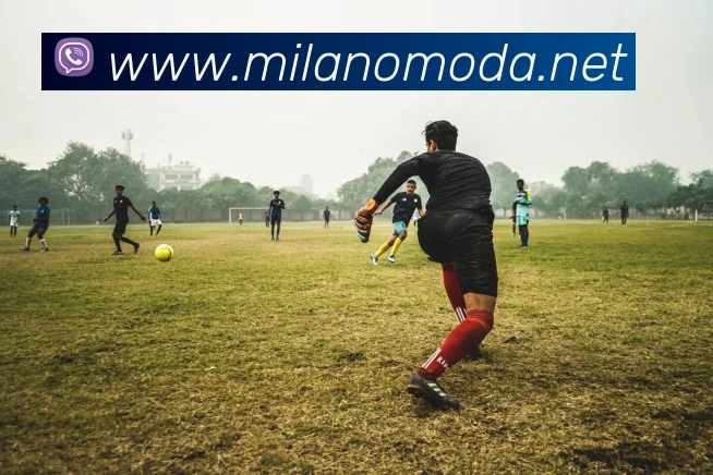 米兰milan官网服务体系